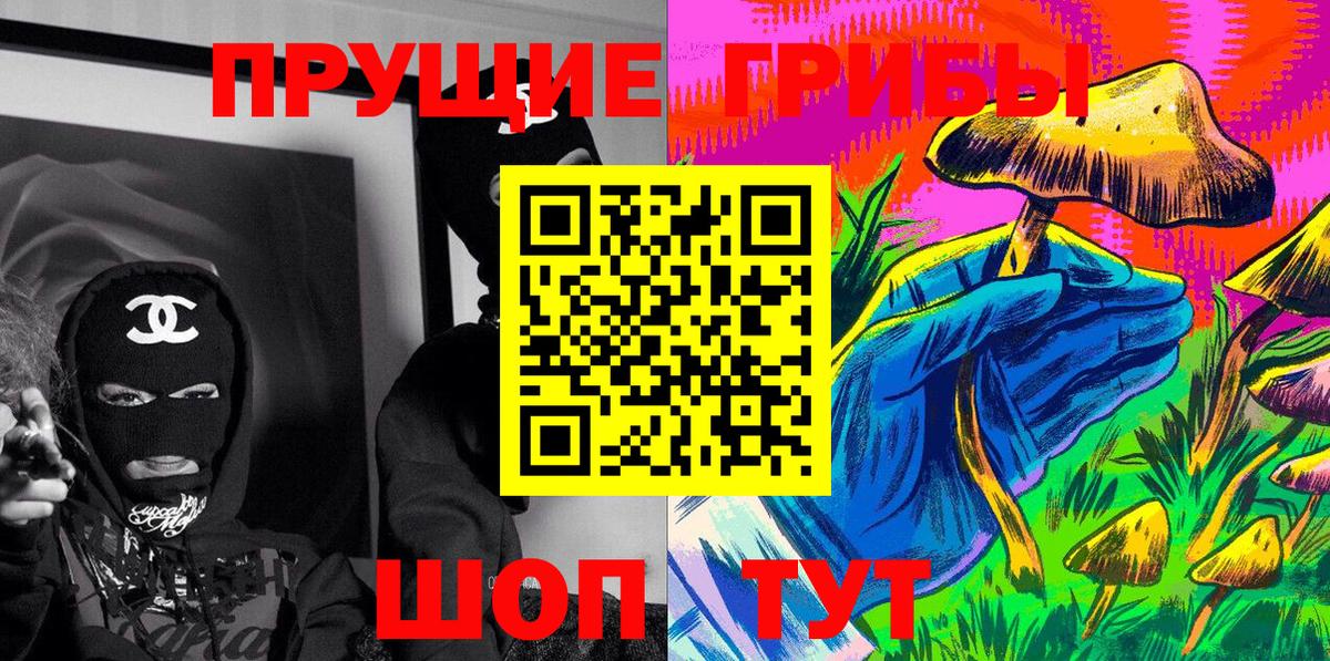 Псилоцибиновые грибы Psilocybe Саяногорск