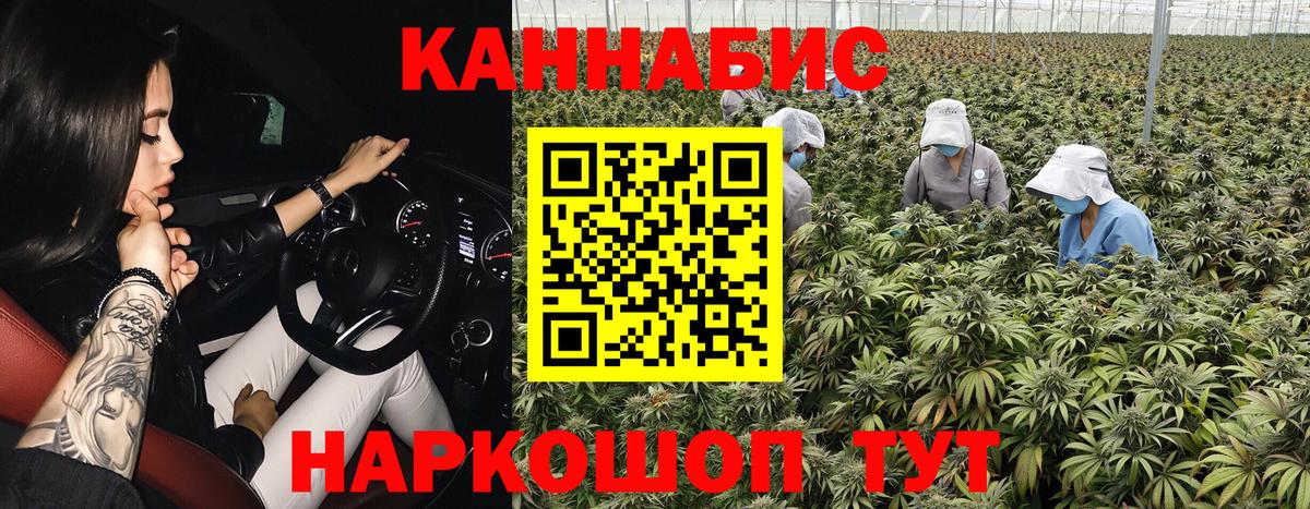Бошки Шишки MAZAR  Вход с VPN  Шишки марихуана конопля  Саяногорск 