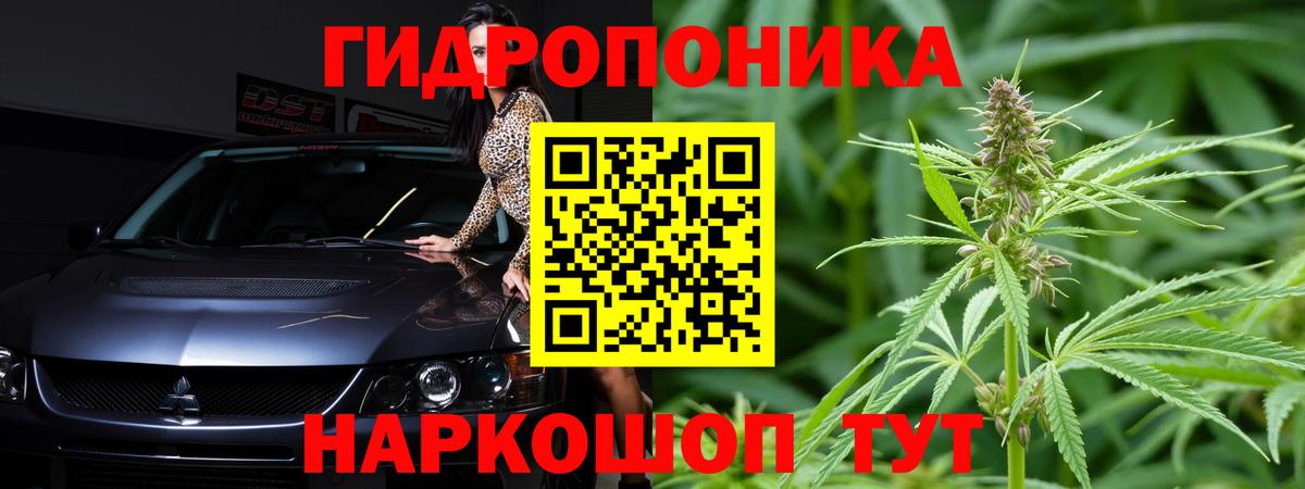 Марихуана планчик Саяногорск